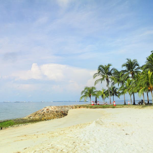 Visit East Coast Beach and Learn About The Effects of Rising Sea Levels's main gallery image