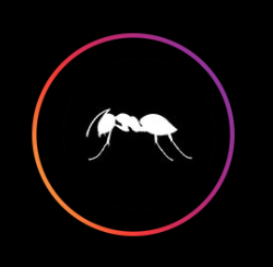 Ants