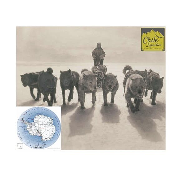 Antarctica: Shackleton, The “Heroic Age” and the race to the South Pole's main gallery image