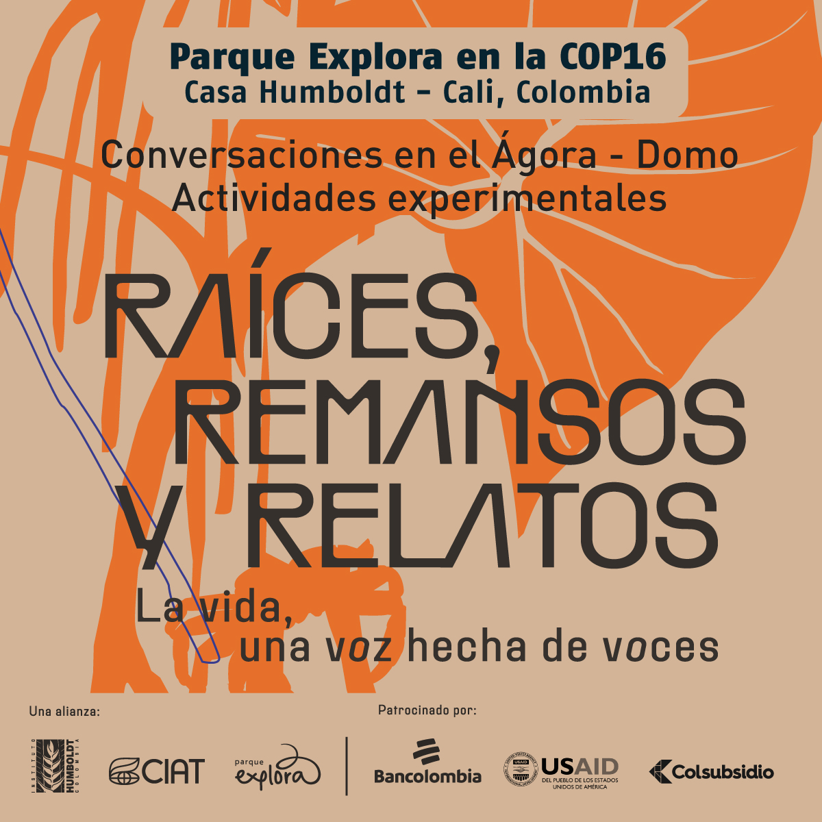 REMANSOS-TL-01.jpg