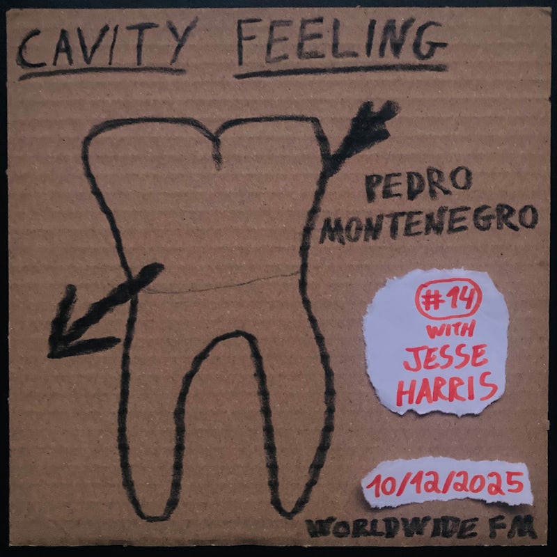 cavity feeling #14: pedro montenegro w/ Jesse Harris
