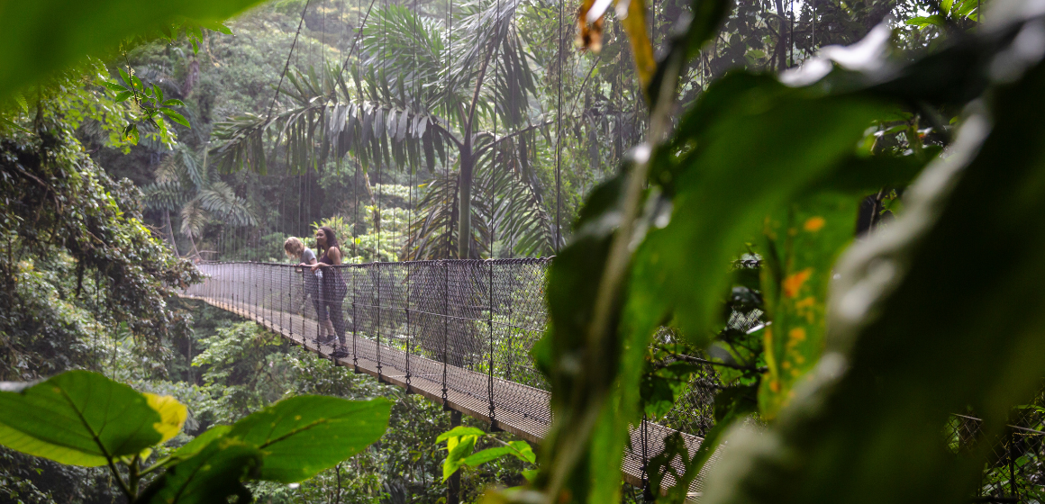Website-Blog-Image---G-Costa-Rica-La-Fortuna-suspension-bridge.png