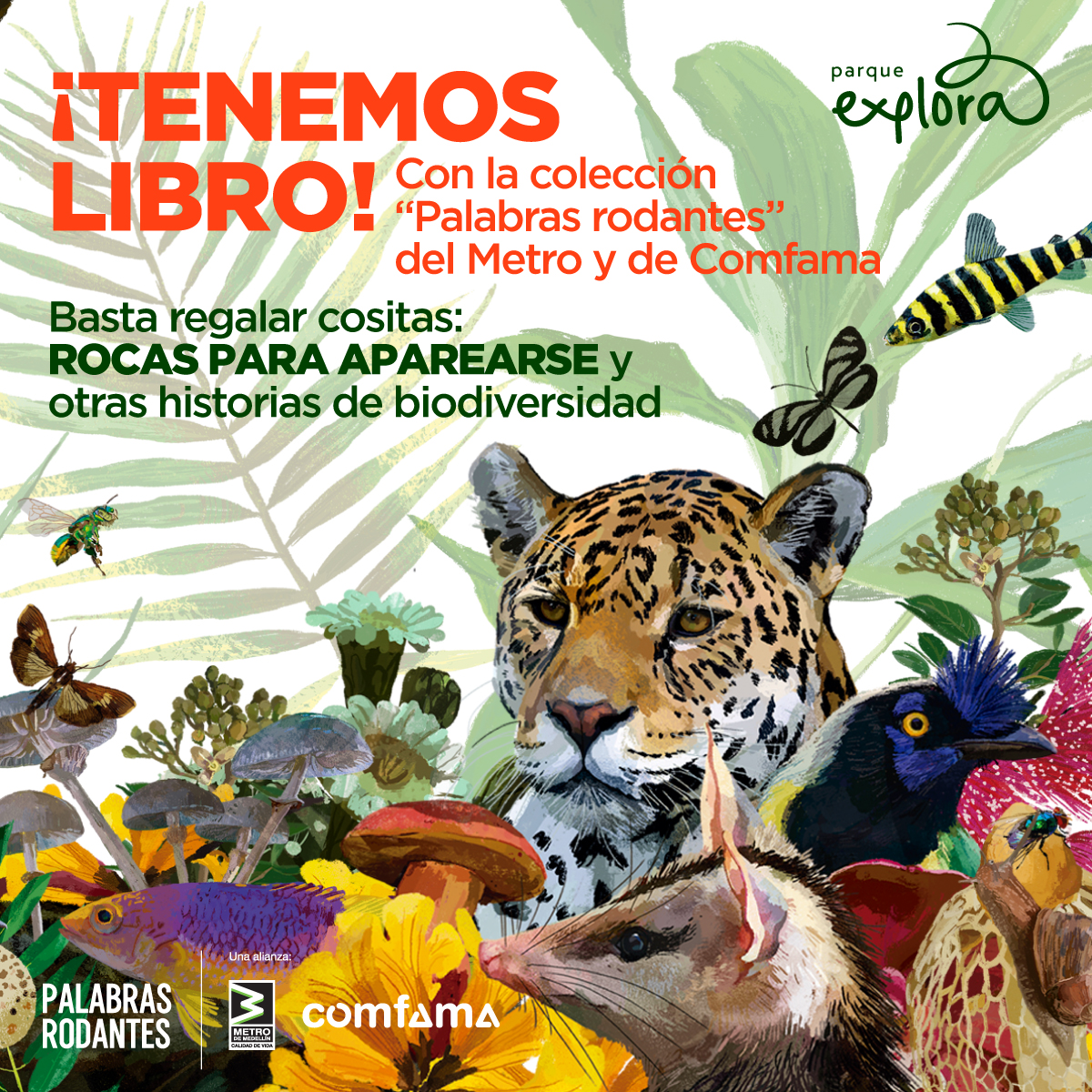 Ilustración. Ubicados en diferentes posiciones y tamaños varios animales: pájaros, zarigüeyas, mariposas, peces. En la parte superior de la imagen texto que dice: "¡Tenemos libro! Con la colección "Palabras rodantes" del Metro y de Comfama. Basta regalar cositas: rocas para aparearse y otras historias de biodiversidad".