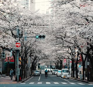 Plan for Japan's gallery image