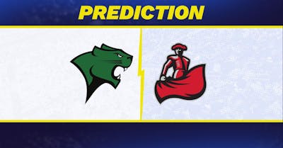 Chicago State vs. Cal State Northridge Prediction: Cal State Northridge Predicted to Win College Basketball Matchup [12/21/2024]