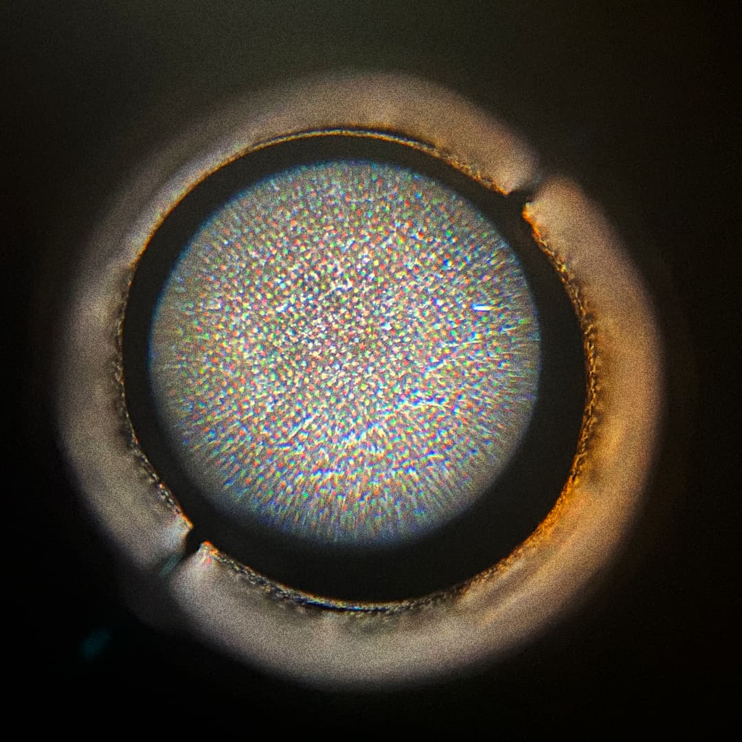 Circular Sounds: Hector Plimmer