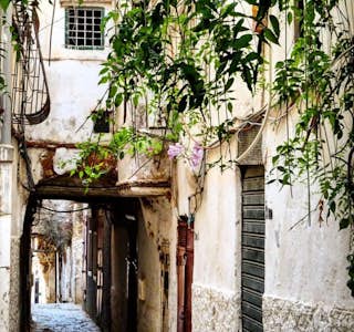 Walking Tour In The Casbah 's gallery image