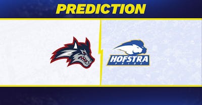 Stony Brook vs. Hofstra prediction: Hofstra favored to win men's college basketball matchup [2/28/2026]