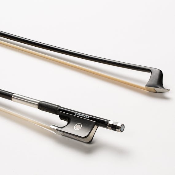 Cadenza BC301 - selected view