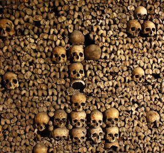 The Catacombs of Paris's gallery image