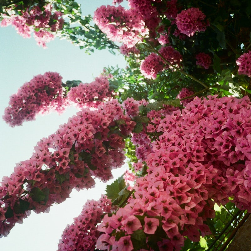 Let The Sunshine In: Poly-Ritmo