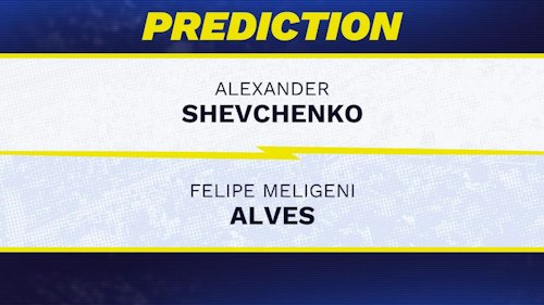 Alexander Shevchenko vs. Felipe Meligeni Alves Prediction, Odds, Picks for ATP Rio Open 2025