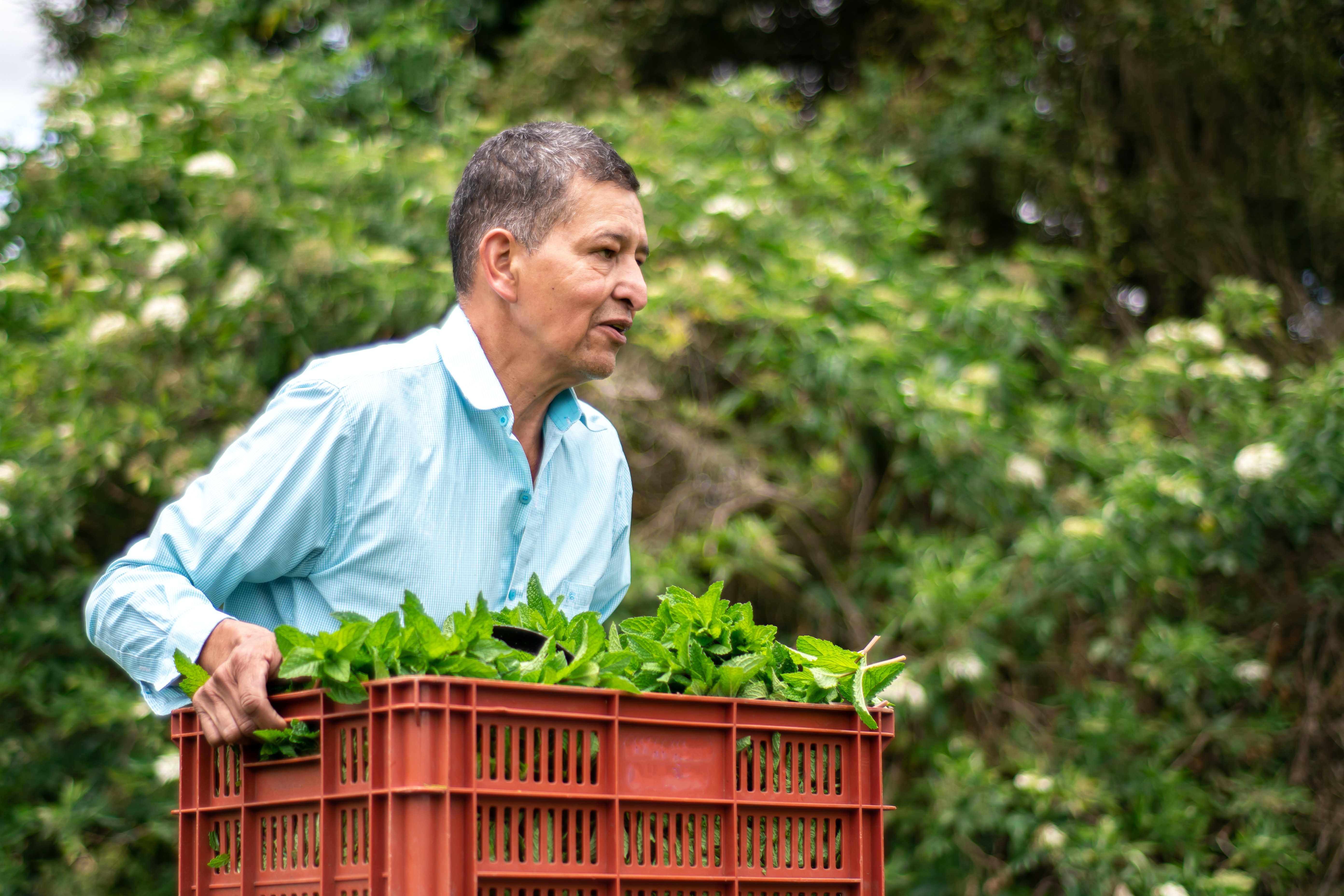 How to Boost Your Relationship With Vegetable and Fruit Vendors