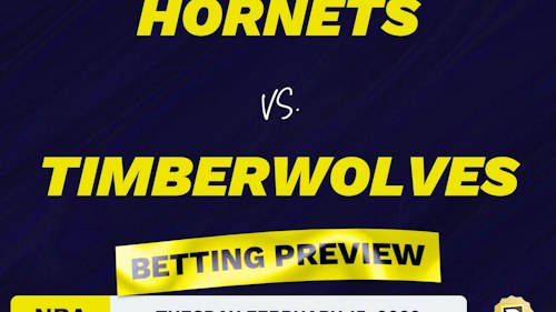Hornets vs. Timberwolves Predictions and Odds - Feb 15, 2022