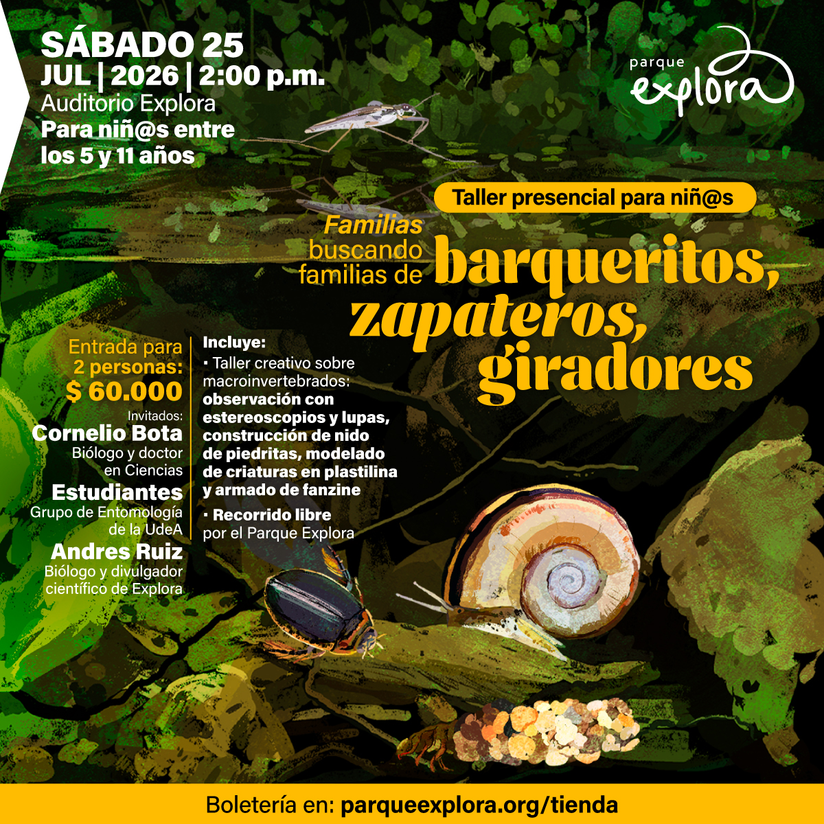 Ilustración de un entorno acuático con hojas, un caracol y un insecto sobre una rama. Texto en la parte superior izquierda: «Sábado veinticinco de julio de dos mil veintiséis a las dos de la tarde. Auditorio Explora. Para niñas entre los cinco y once años». En el centro: «Taller presencial para niños. Familias buscando familias de barqueritos, zapateros, giradores». A la izquierda: «Entrada para dos personas: sesenta mil pesos». A la derecha: «Incluye: taller creativo sobre macroinvertebrados: observación con estereoscopios y lupas, construcción de nido de piedritas, modelado de criaturas en plastilina y armado de fanzine. Recorrido libre por el Parque Explora». A la izquierda inferior: «Invitados: Cornelio Bota, biólogo y doctor en ciencias. Estudiantes grupo de entomología de la UdeA. Andrés Ruiz, biólogo y divulgador científico de Explora». En la parte inferior: «Boletería en parqueexplora punto org tienda».