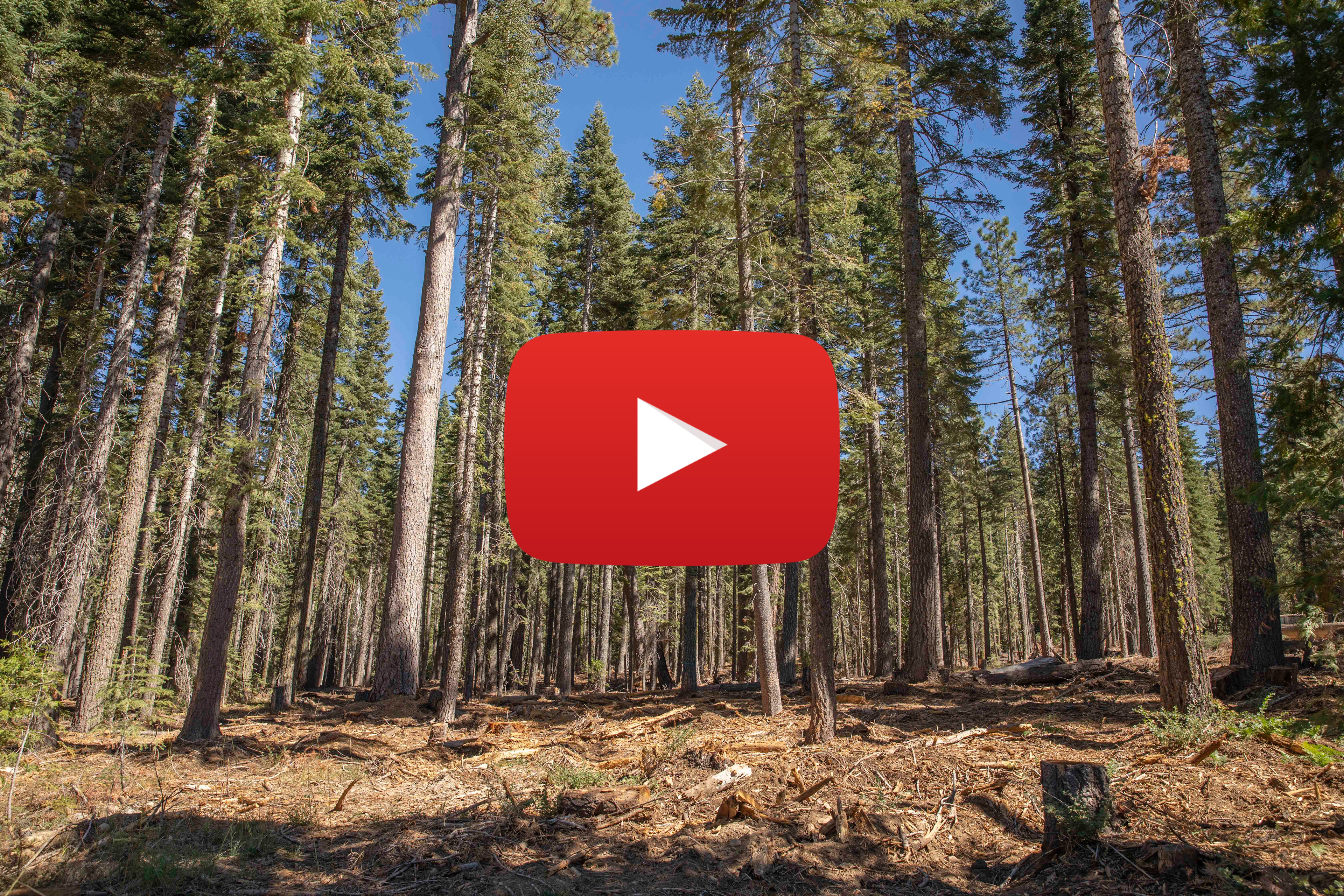 YouTube link to Tahoe Central Sierra Cal-FRAME Project for Biomass Management webinar