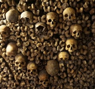 The Catacombs of Paris's gallery image