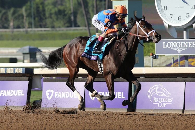 2024 Kentucky Derby Betting Preview