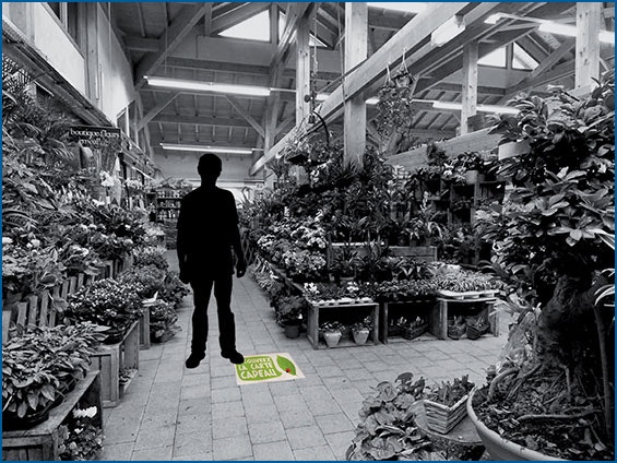 Adhésifs de sol pour jardinerie