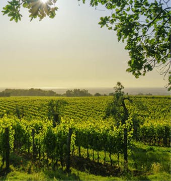 Tuscany Cycle Siena & Chianti - 8 Days