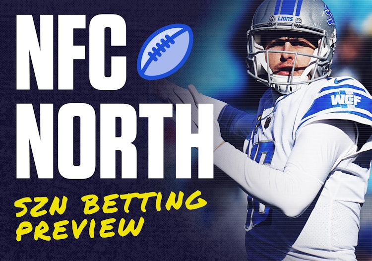 NFC North Betting Preview - Division Winner Odds, Win Totals and Team Outlooks