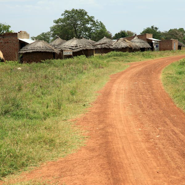 African Village Walk With an Elder's main gallery image