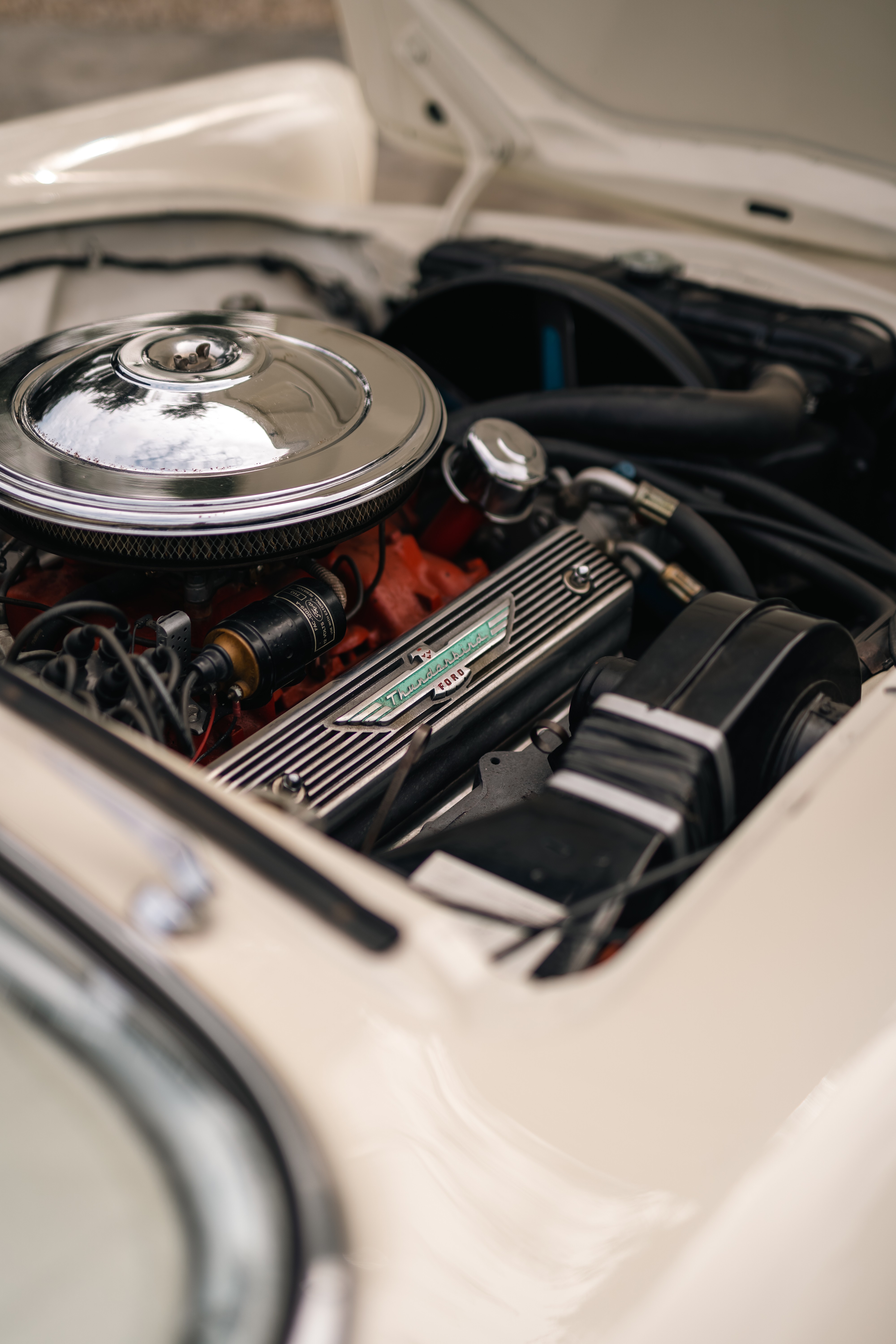 1957 Thunderbird engine shot in Austin, TX.