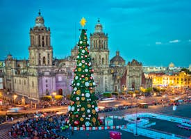 Holiday Magic in Mexico City's thumbnail image