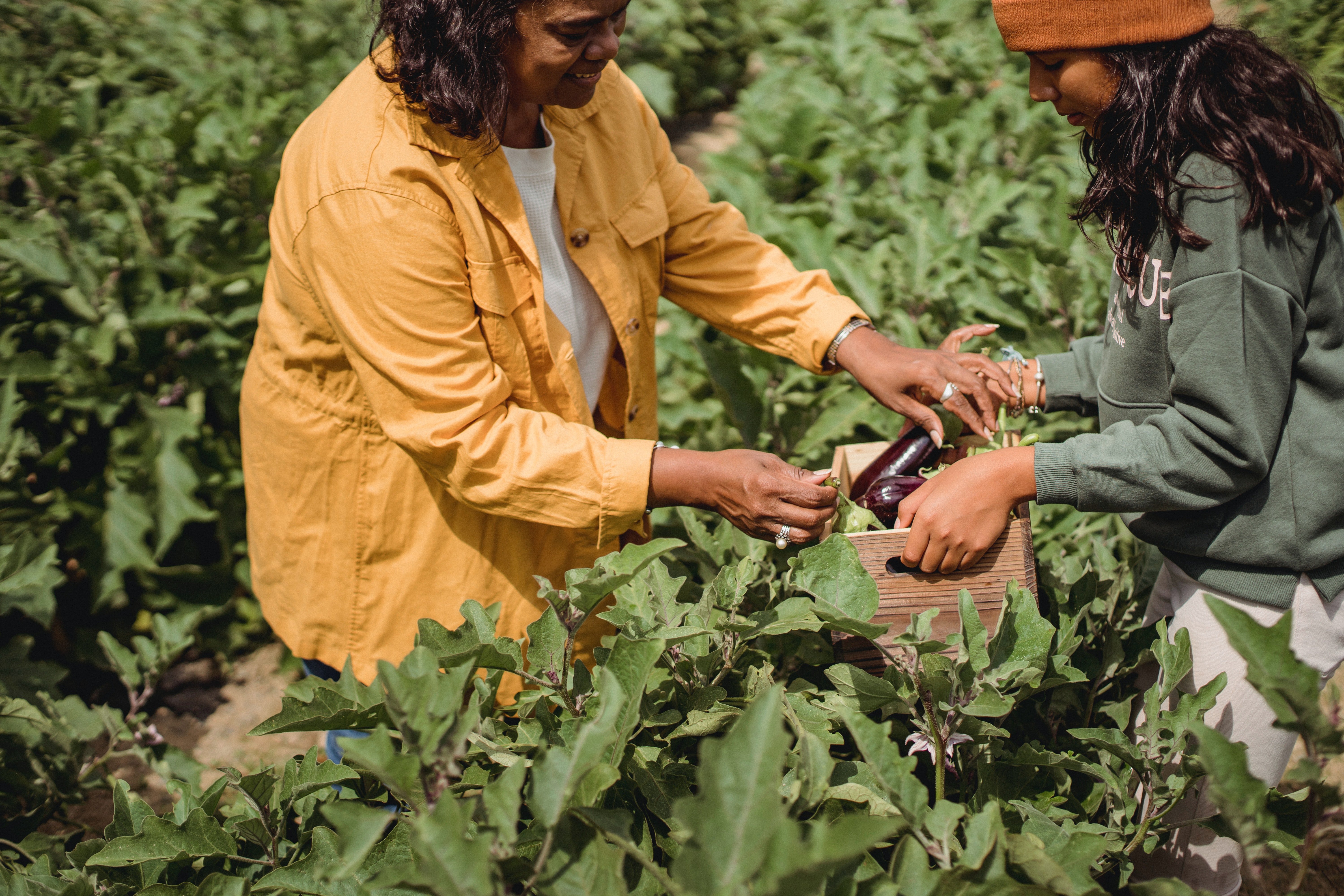 Women In Agriculture: How the Produce Sector is Changing