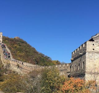 The Great Wall of China's gallery image
