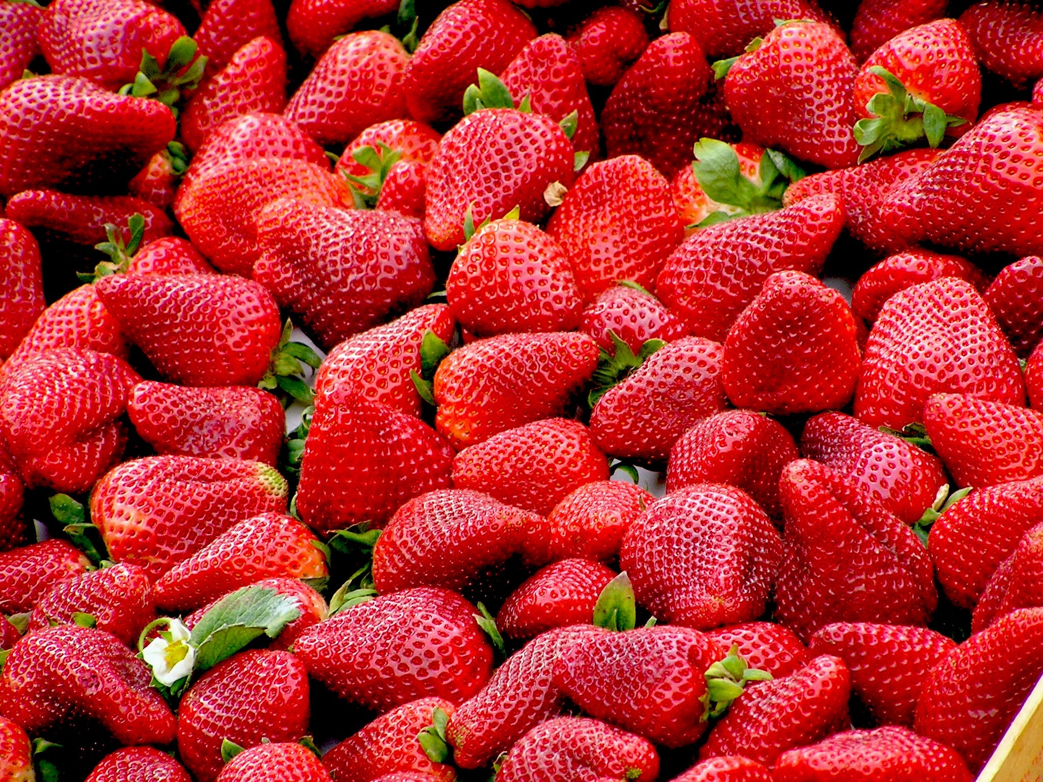 The Rising Popularity of Designer Strawberries