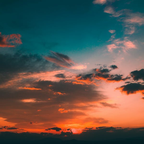 Women's Harley-Davidson Tank Top