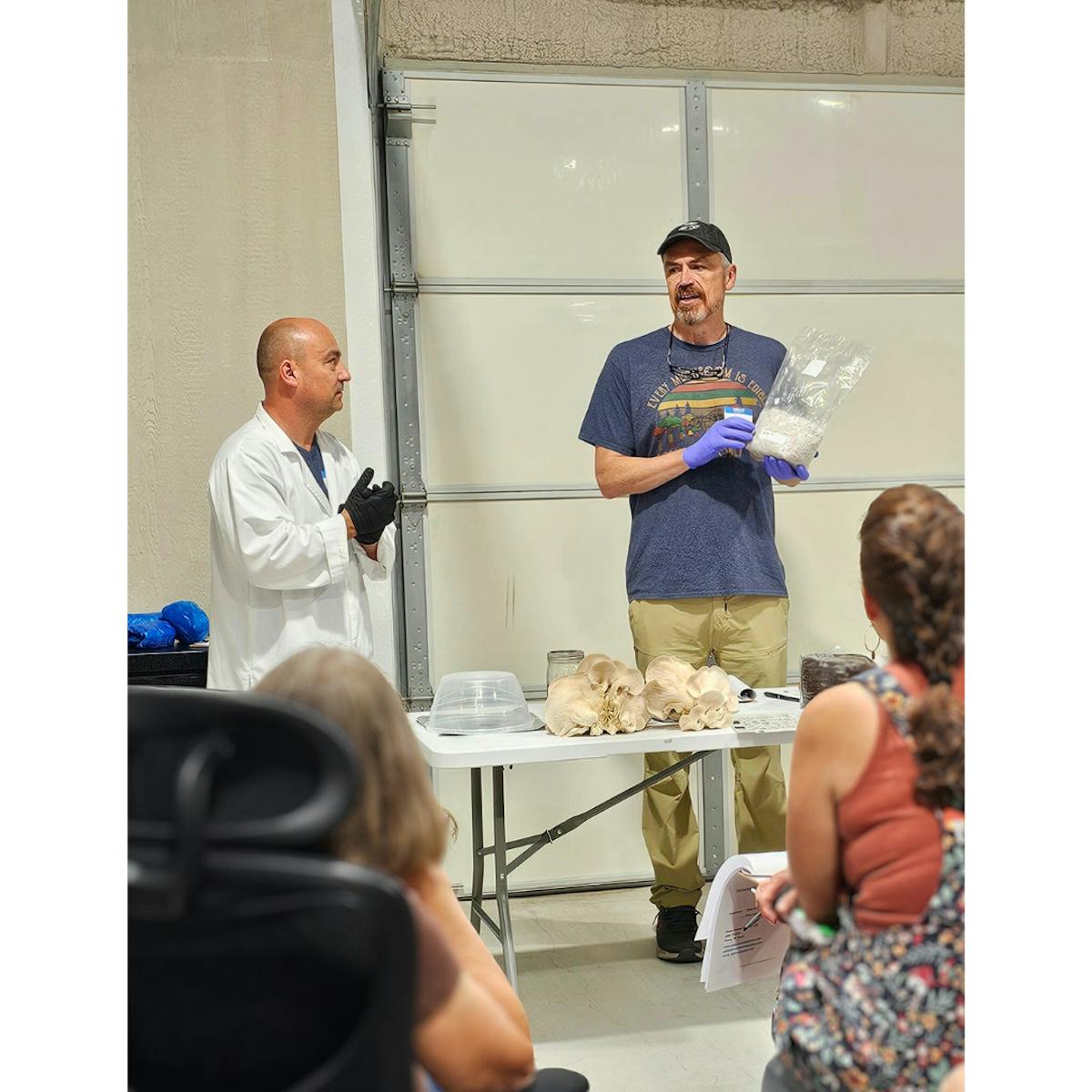 Classes & Workshops