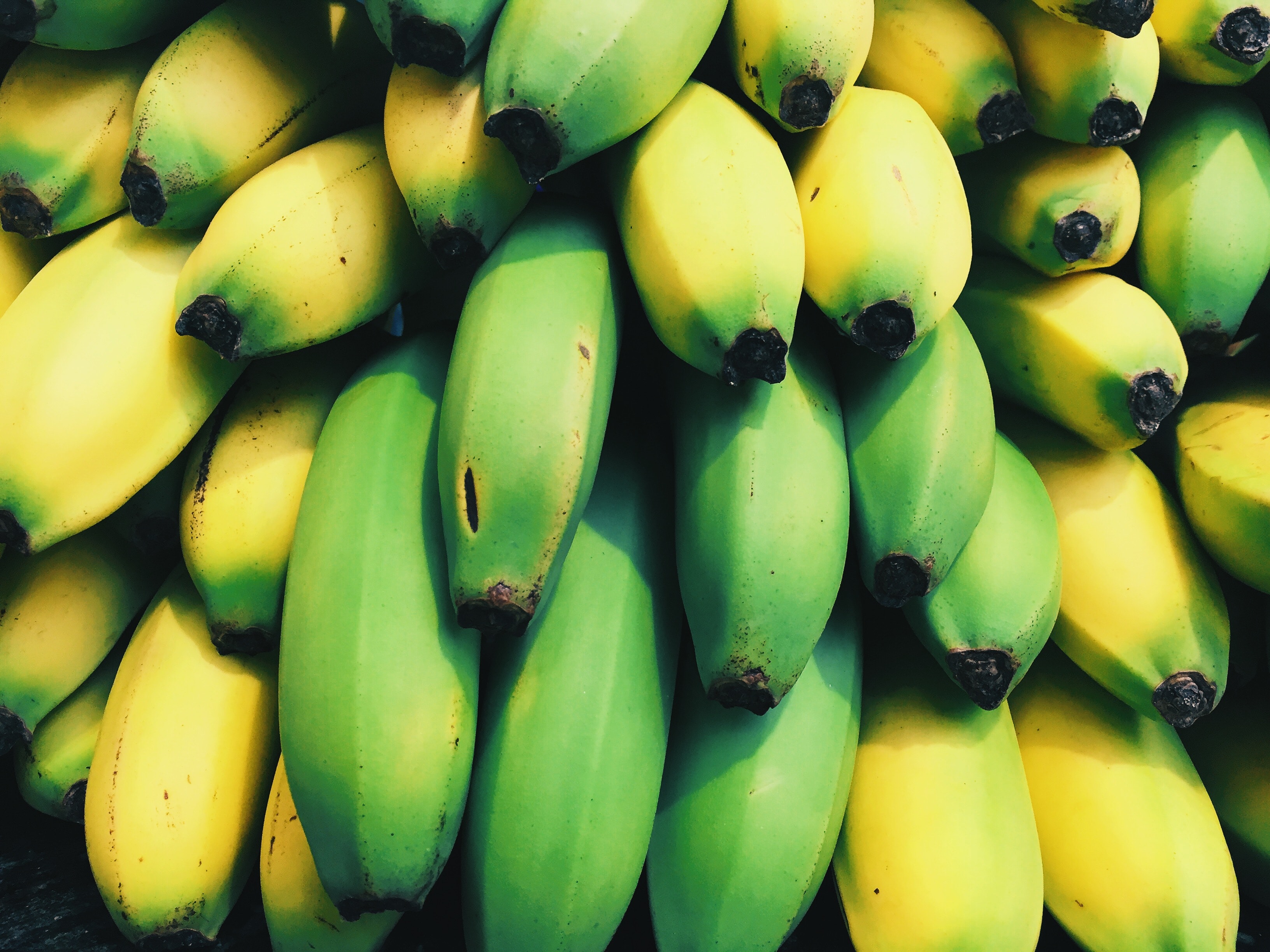 6 Trends in Banana Ripening Technology
