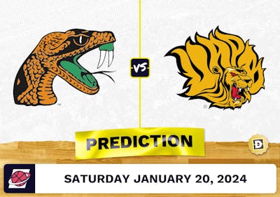 Florida A&M vs. Arkansas-Pine Bluff Prediction, Odds, College Basketball Picks [1/20/2024]