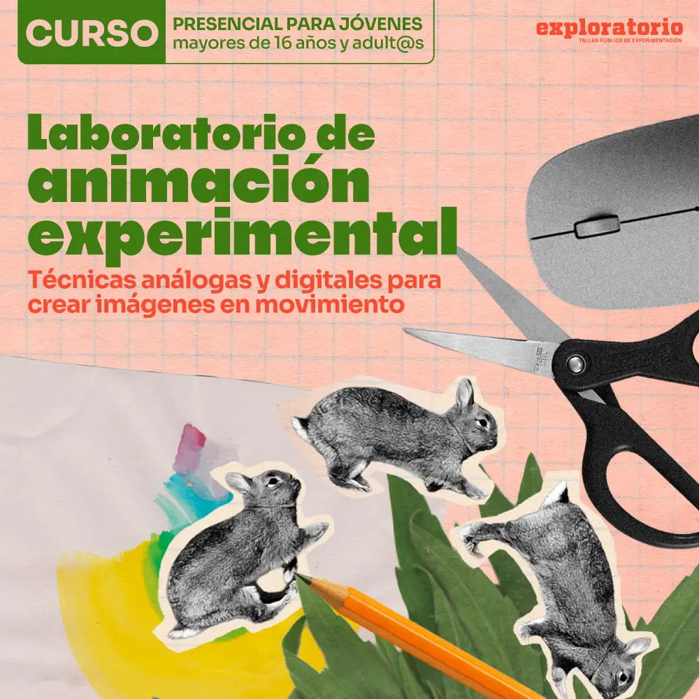 Curso-animacion-experimental-ecommerce-copia.webp