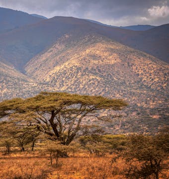 Serengeti Trail - 8 Days