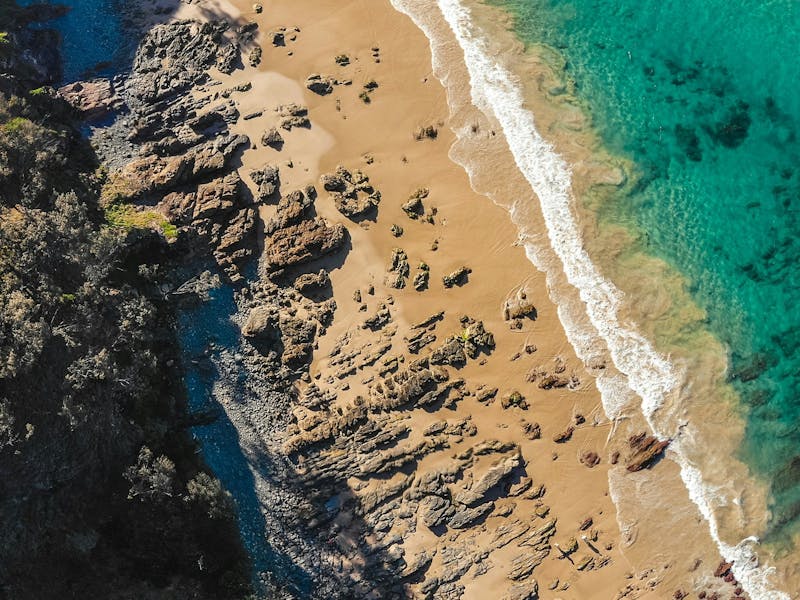 Complete Skateboards