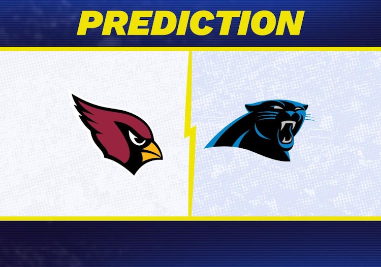 Arizona Cardinals-Carolina Panthers Predictions and Game Preview.