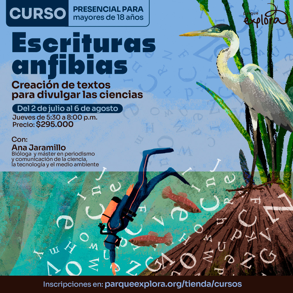 Ilustración de una garza y una persona buceando entre letras. En la parte superior: «Curso presencial para mayores de dieciocho años». En el centro: «Escrituras anfibias. Creación de textos para divulgar las ciencias». Más abajo: «Del dos de julio al seis de agosto. Jueves de cinco y treinta de la tarde a ocho de la noche. Precio: doscientos noventa y cinco mil pesos». Abajo: «Con: Ana Jaramillo. Bióloga y máster en periodismo y comunicación de la ciencia, la tecnología y el medio ambiente». En la parte inferior: «Inscripciones en parqueexplora punto org tienda cursos».