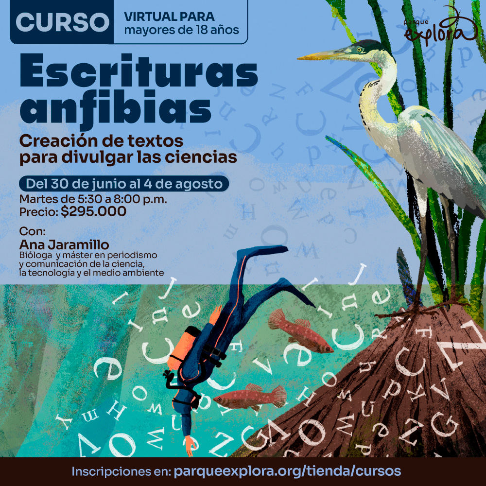 Ilustración de una garza y una persona buceando entre letras. En la parte superior: «Curso virtual para mayores de dieciocho años». En el centro: «Escrituras anfibias. Creación de textos para divulgar las ciencias». Más abajo: «Del treinta de junio al cuatro de agosto. Martes de cinco y treinta de la tarde a ocho de la noche. Precio: doscientos noventa y cinco mil pesos». Abajo: «Con: Ana Jaramillo. Bióloga y máster en periodismo y comunicación de la ciencia, la tecnología y el medio ambiente». En la parte inferior: «Inscripciones en parqueexplora punto org tienda cursos».