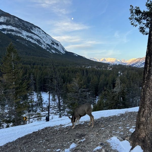 Banff & the Canadian Rockies's main gallery image