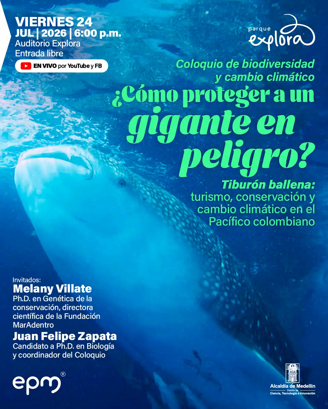 Fotografía submarina de un tiburón ballena nadando en aguas azules. En la parte superior izquierda: «Viernes veinticuatro de julio de dos mil veintiséis a las seis de la tarde. Auditorio Explora. Entrada libre». En el centro: «Coloquio de biodiversidad y cambio climático. ¿Cómo proteger a un gigante en peligro?». Debajo: «Tiburón ballena: turismo, conservación y cambio climático en el Pacífico colombiano». En la parte inferior izquierda: «Invitados: Melany Villate, doctora en genética de la conservación, directora científica de la Fundación MarAdentro. Juan Felipe Zapata, candidato a doctor en biología y coordinador del coloquio».
