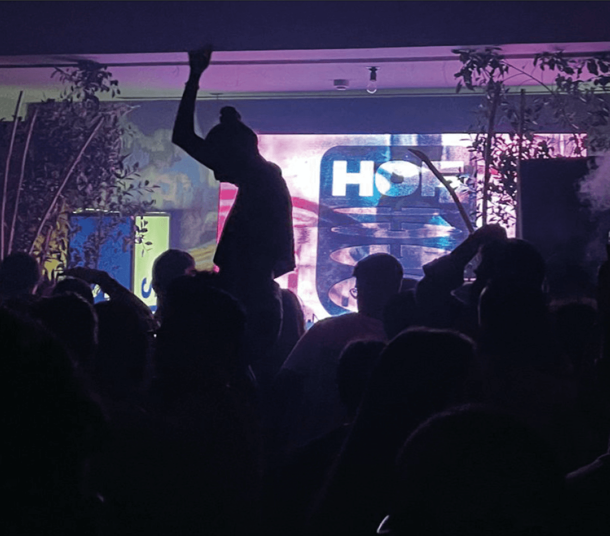 HOF The Record: The Mango Thief