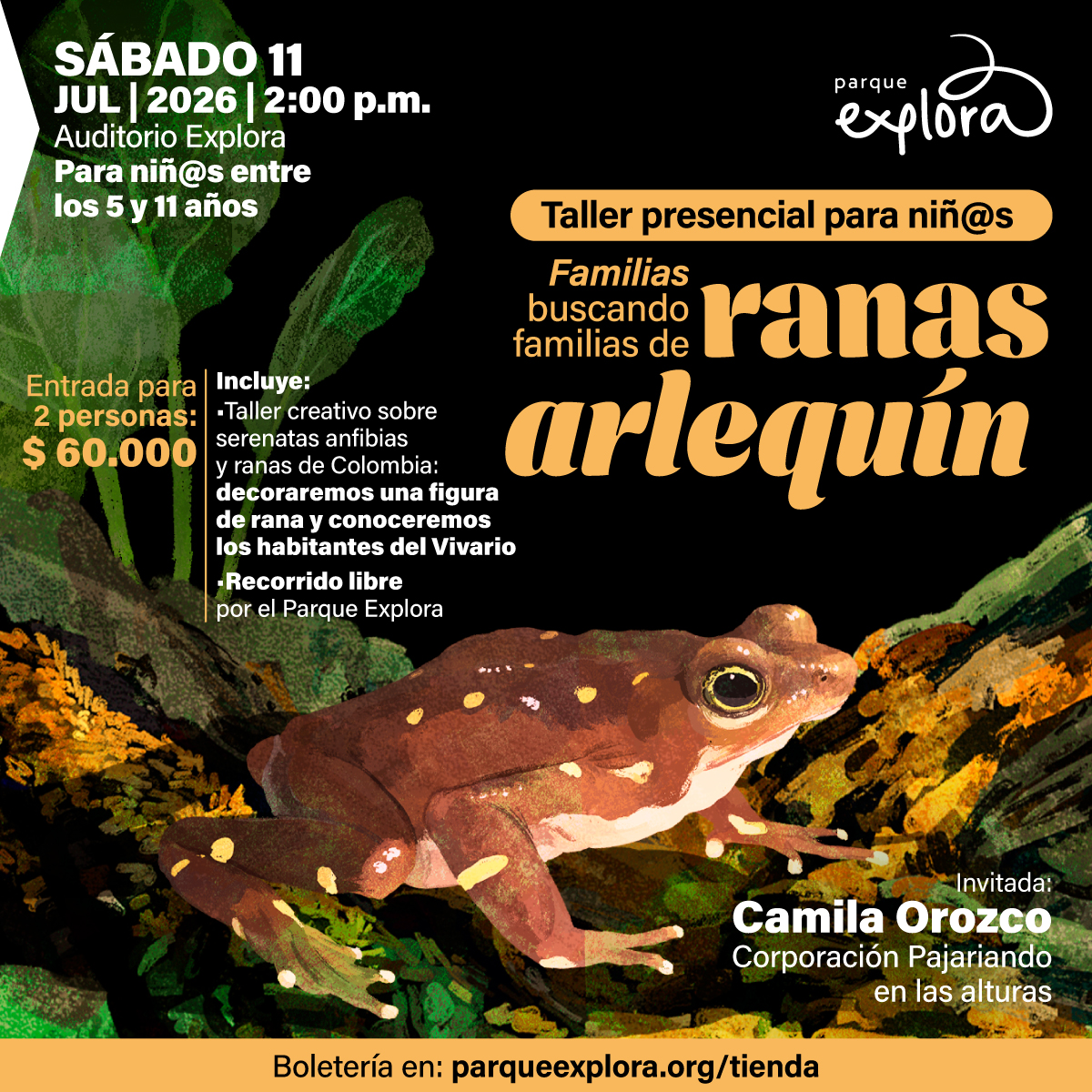Ilustración de una rana sobre hojas y vegetación. Texto en la parte superior izquierda: «Sábado once de julio de dos mil veintiséis a las dos de la tarde. Auditorio Explora. Para niños entre los cinco y once años». En el centro: «Taller presencial para niños. Familias buscando familias de ranas arlequín». A la izquierda: «Entrada para dos personas: sesenta mil pesos. Incluye: taller creativo sobre serenatas anfibias y ranas de Colombia: decoraremos una figura de rana y conoceremos los habitantes del Vivario. Recorrido libre por el Parque Explora». A la derecha: «Invitada: Camila Orozco. Corporación Pajareriando en las alturas». Abajo: «Boletería en parqueexplora punto org tienda».
