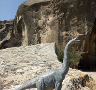 Discovering Gobustan Rock Art's gallery image