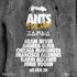 Ants @ Zamna Festival Tulum
