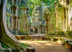 Drive Around & Explore the Hidden Gems of Siem Reap & Angkor Wat's thumbnail image