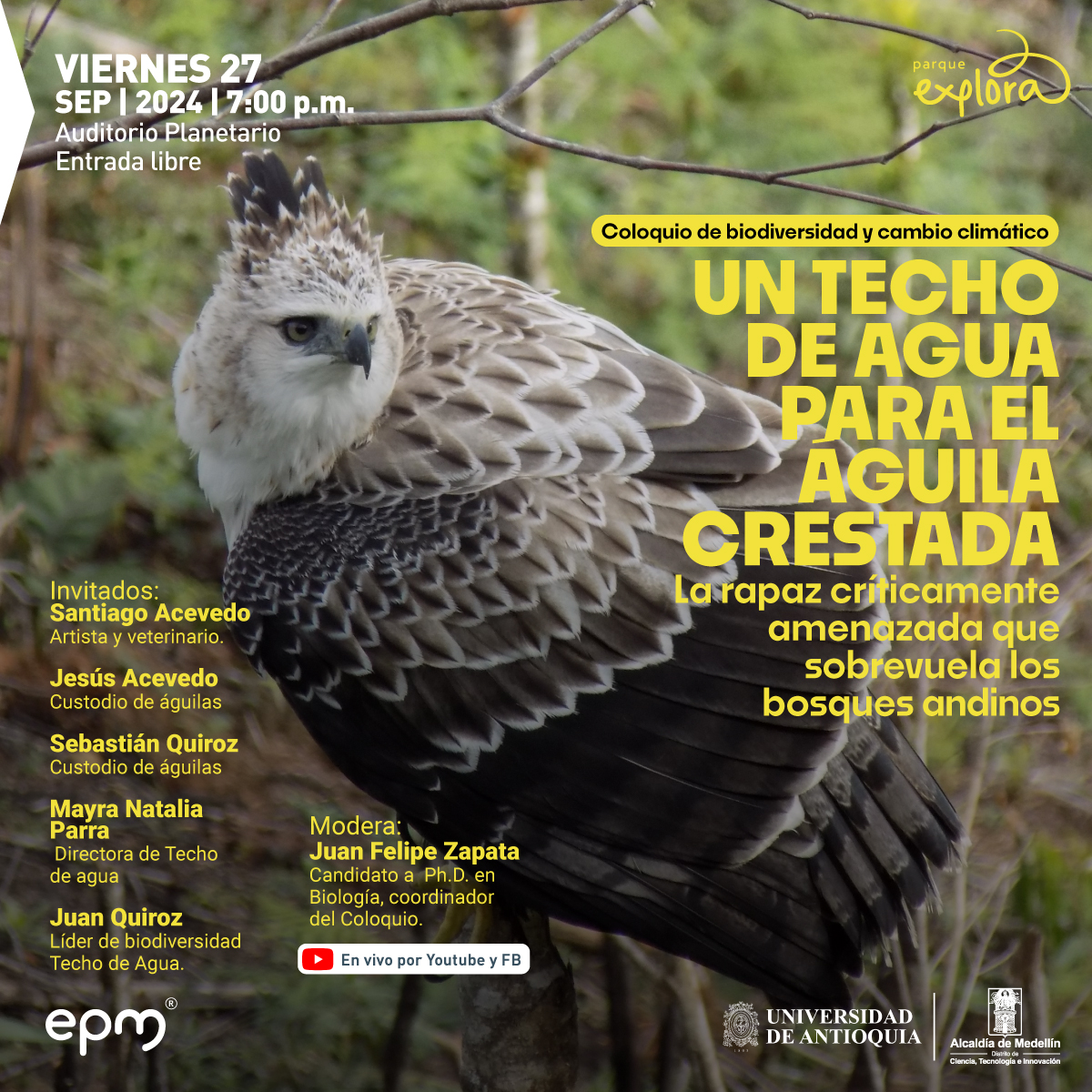 Un techo de agua para el águila crestada - Programate | Parque Explora