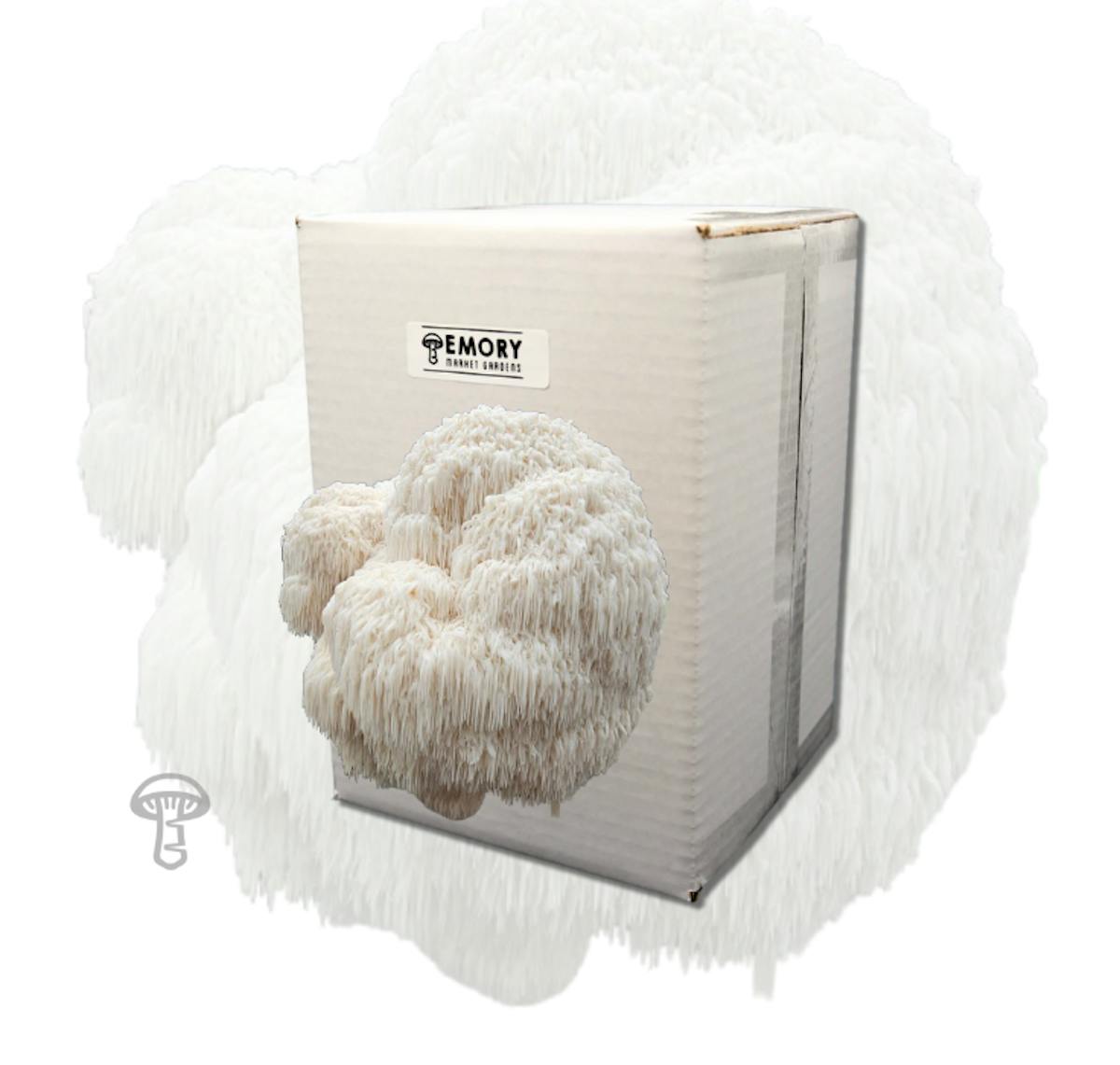 Lion's Mane Mushroom Grow Kit